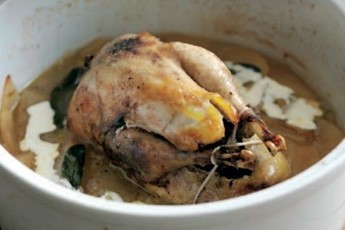 Pot roast pheasant recipe